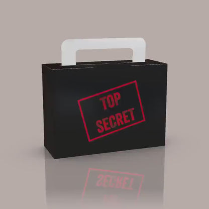 Top Secret Suitcase Favor Box