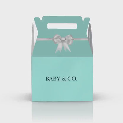 Baby Co, Blue and Pink, Baby Shower Favor Box